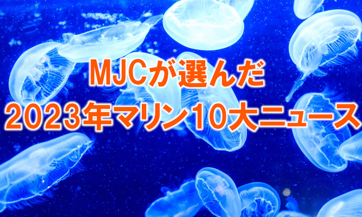 MJCが選んだ2023年「マリン10大ニュース」発表！